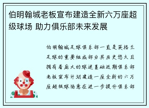 伯明翰城老板宣布建造全新六万座超级球场 助力俱乐部未来发展 伯明翰城老板宣布建造全新六万座超级球场 助力俱乐部未来发展